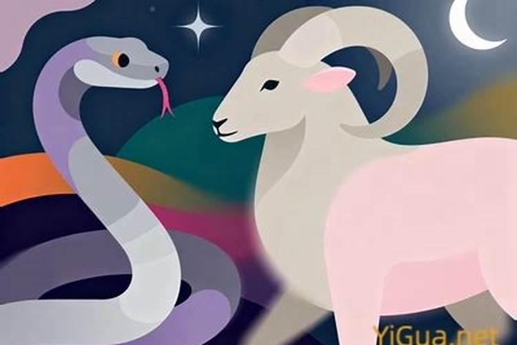 蛇与兔八字合不合