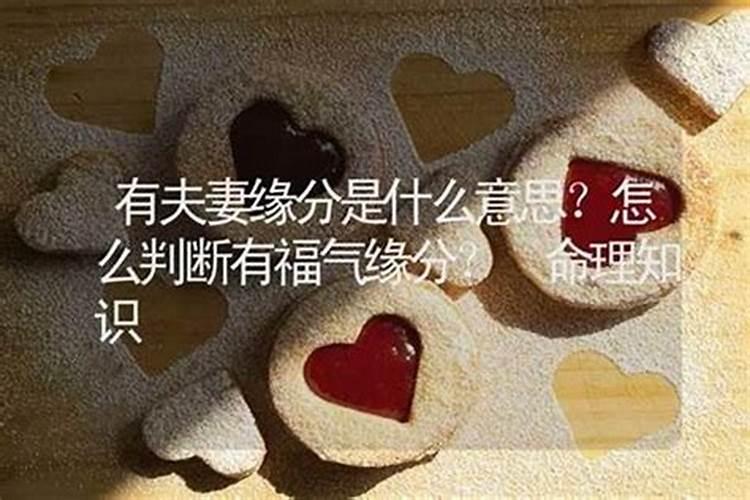 算婚姻说有缘分是能结婚吗？