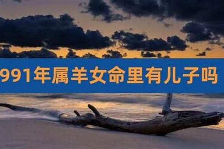 1991年的人运势怎样？