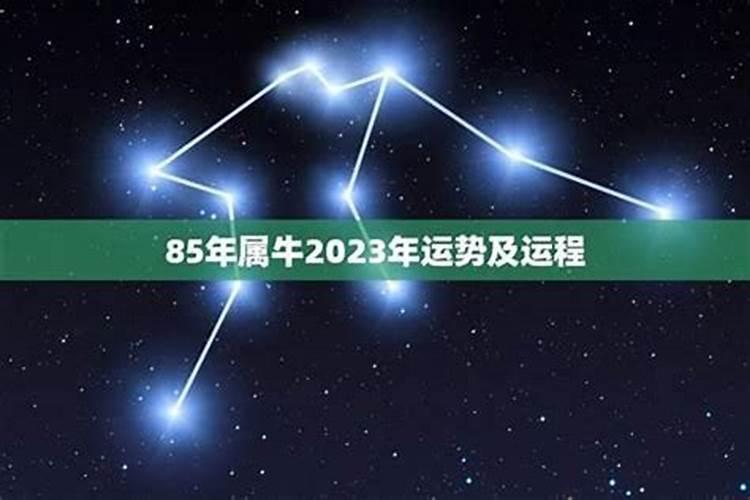 85年属牛女2026年运势及运程
