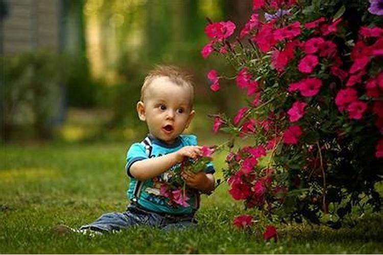 七月十五前出生的男孩