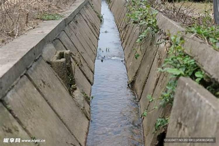 梦到水渠里的水满满的