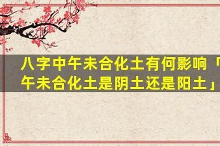 八字午未之合代表什么？
