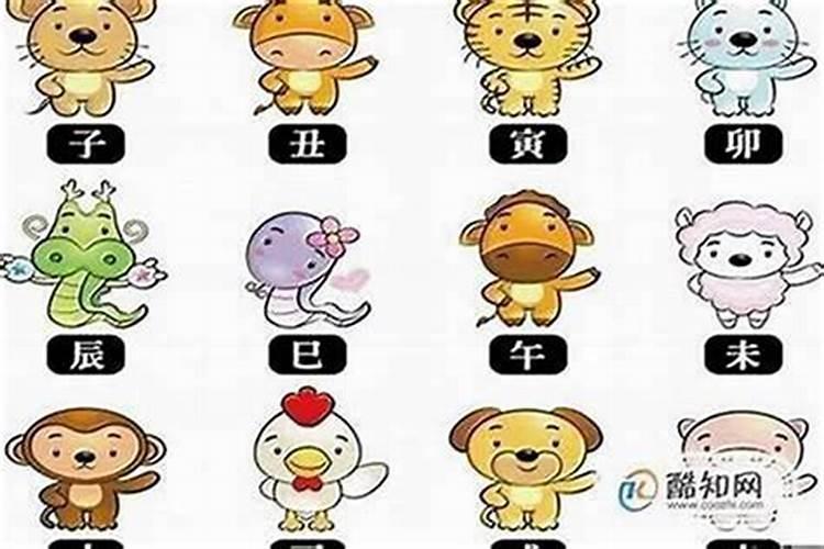 什么属相的人命最好？