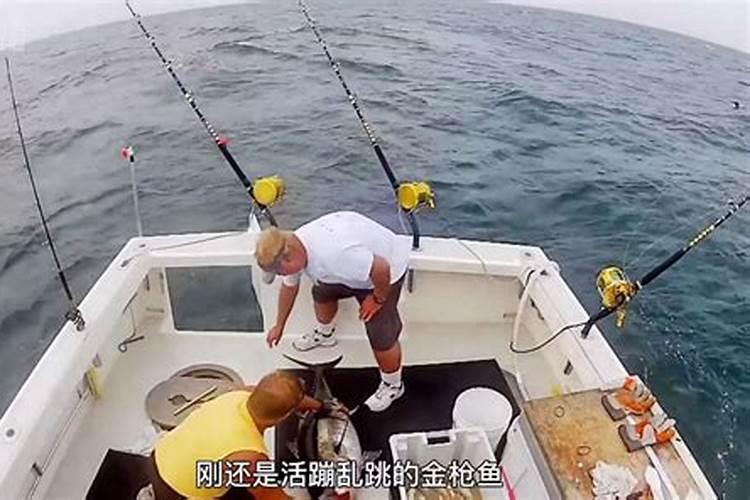 梦到钓了一条鱼上来