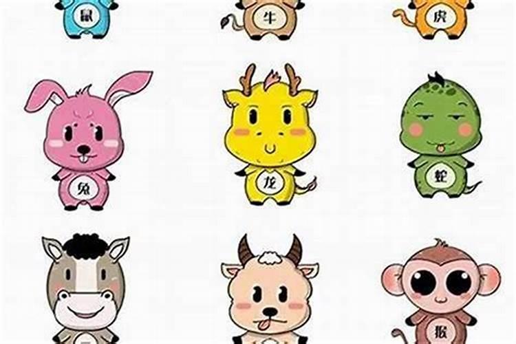 五行水狗和火虎可以婚配吗？