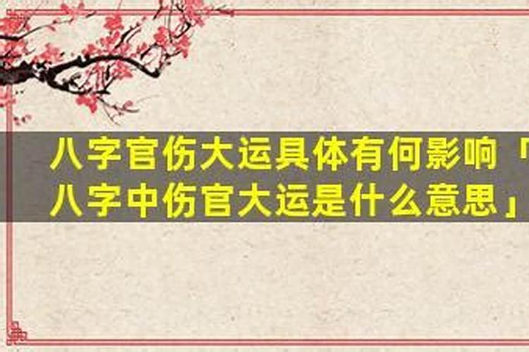 伤官大运会经历什么？