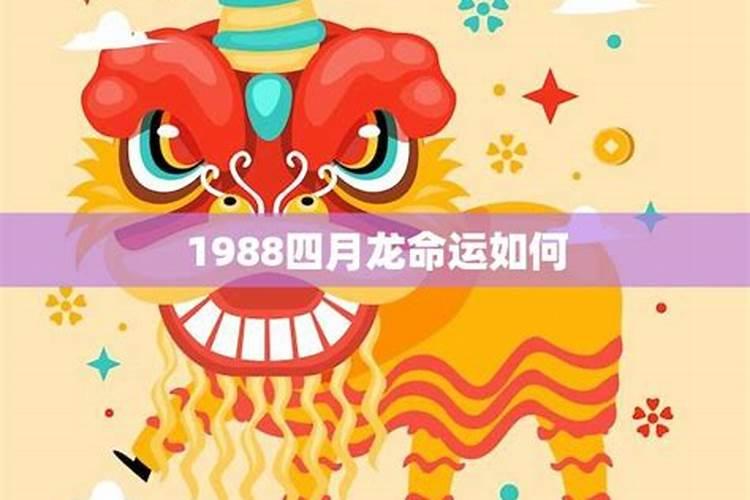 1988年出生龙的运程