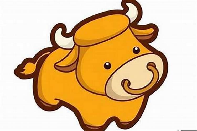 牛属和什么属犯太岁？