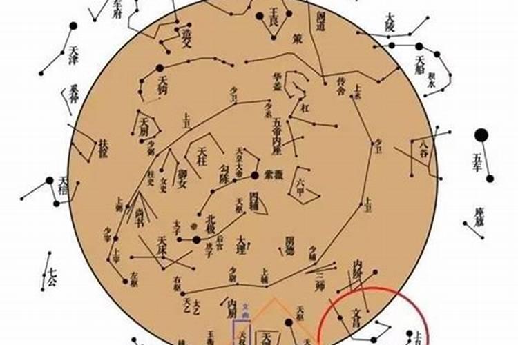 文昌星在身体中代表什么部位？