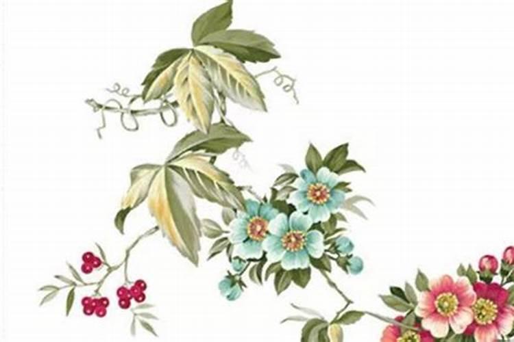 出生在九月初九的鼠宝宝