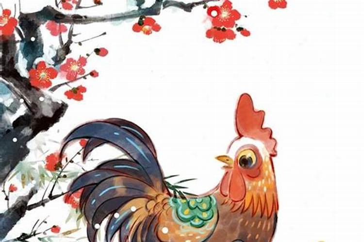 属羊鸡的合婚吗？