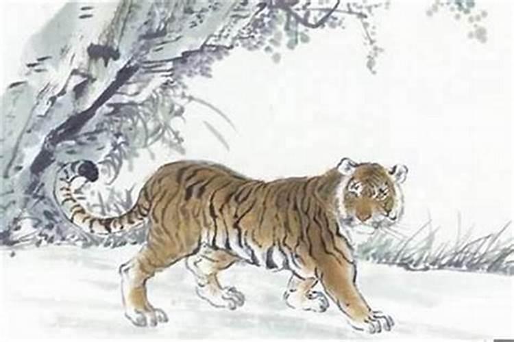 属虎的冬至怎么转运？