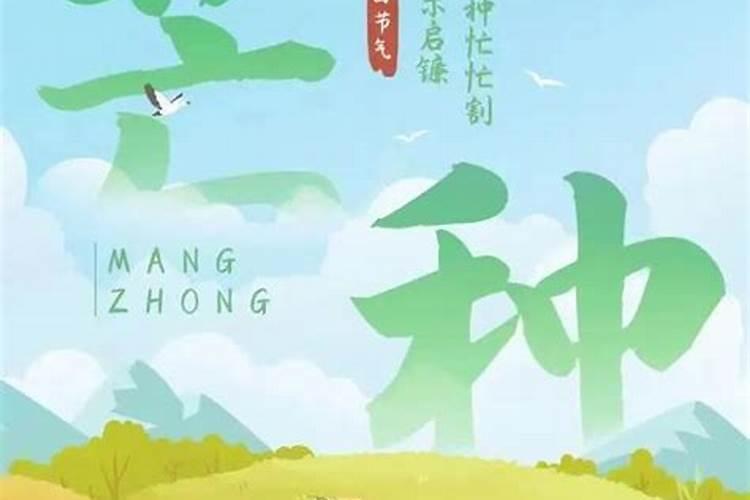 立秋和芒种是第几个节气？