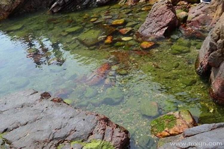 梦见水井水很清澈是什么意思？