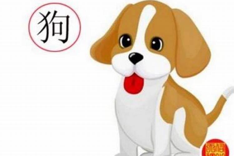 属鸡在狗年的运程如何？