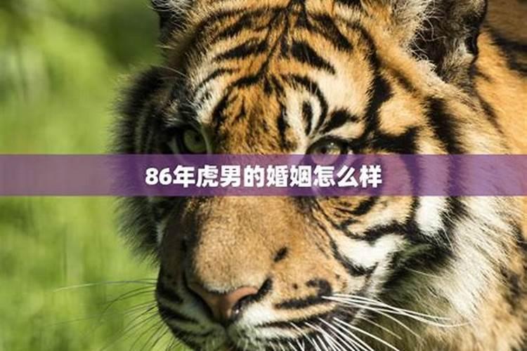 男77年和86年虎合婚吗？