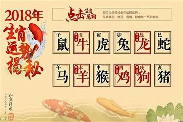 生肖兔今年运势大全