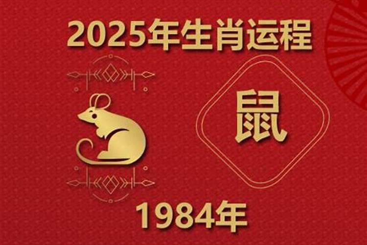 属鼠1984年在2026年运程