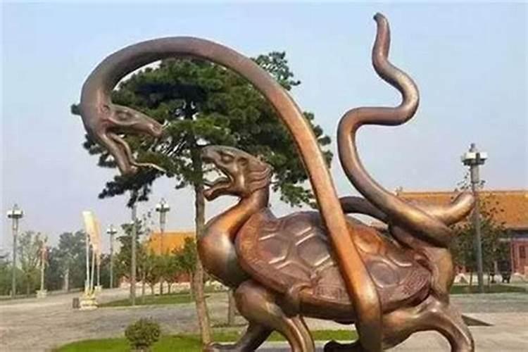 梦到突然出现一条蛇