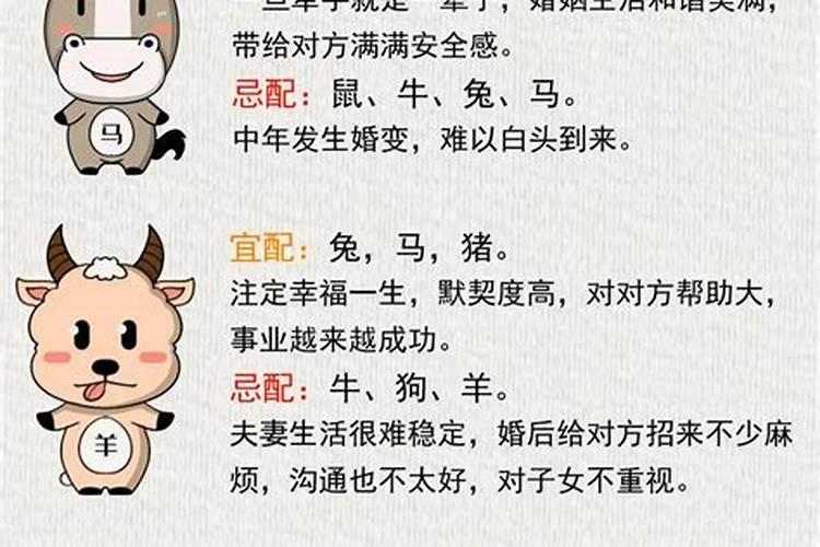 八字合婚属鸡和属鸡怎么样？