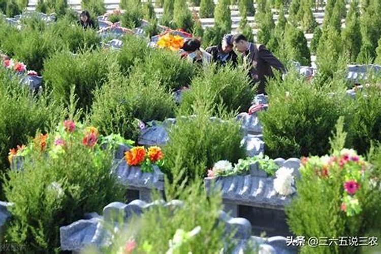 十月初一能不能去祖坟祭祖？