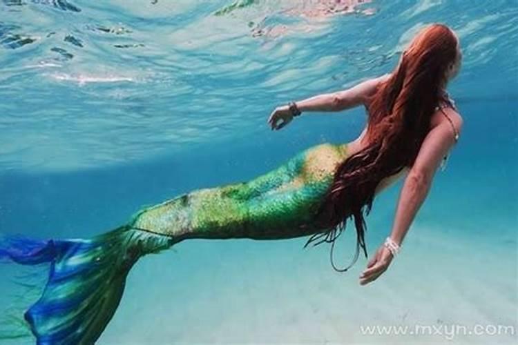 梦见美人鱼是什么意思周公解梦？