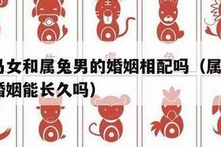 男马婚配属相兔好吗？