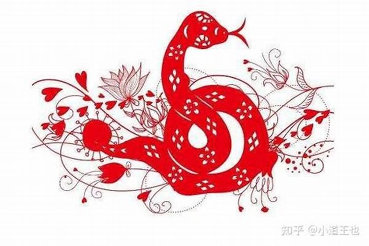 属蛇冲太岁怎么样化解？