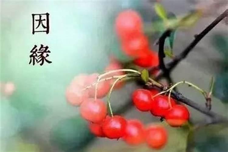 八字测和前夫还能复婚吗？