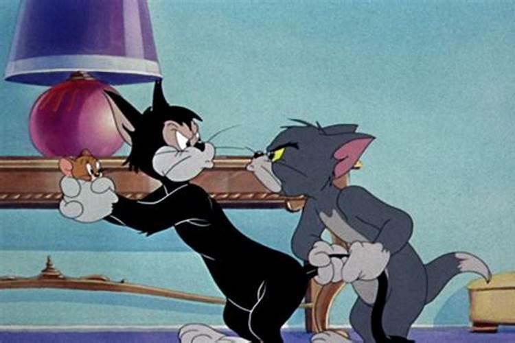 梦见房子里好多老鼠和猫？