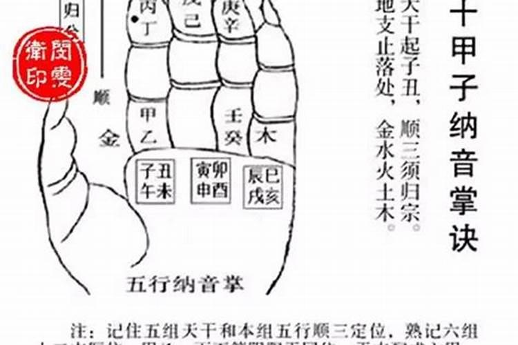 大驿土命遇平地木年运势怎样？