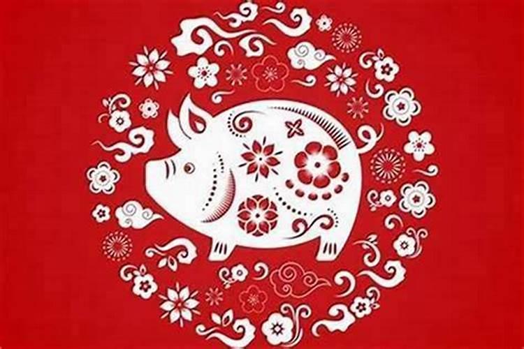 明年属猪的运程如何？