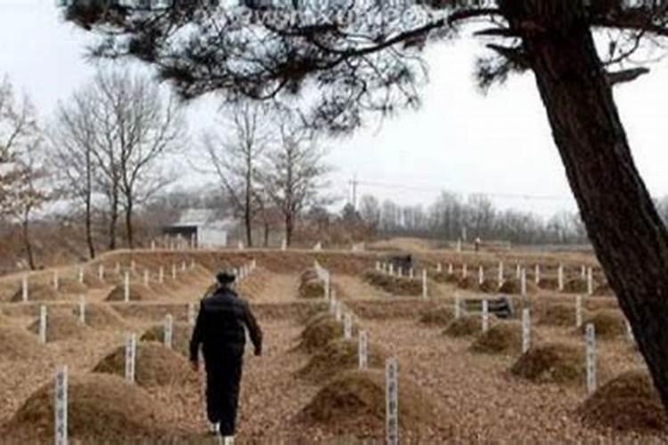 梦到堆坟土有什么预兆？