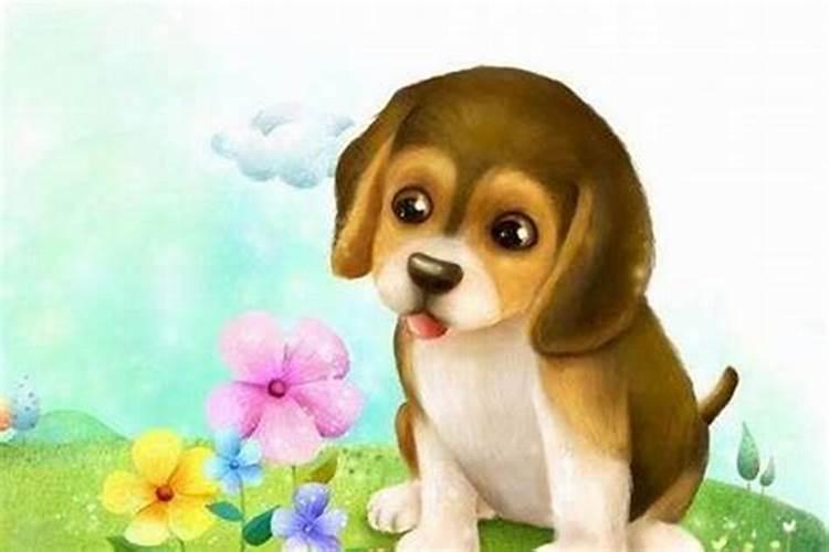 鸡年82年属狗的运势怎么样？