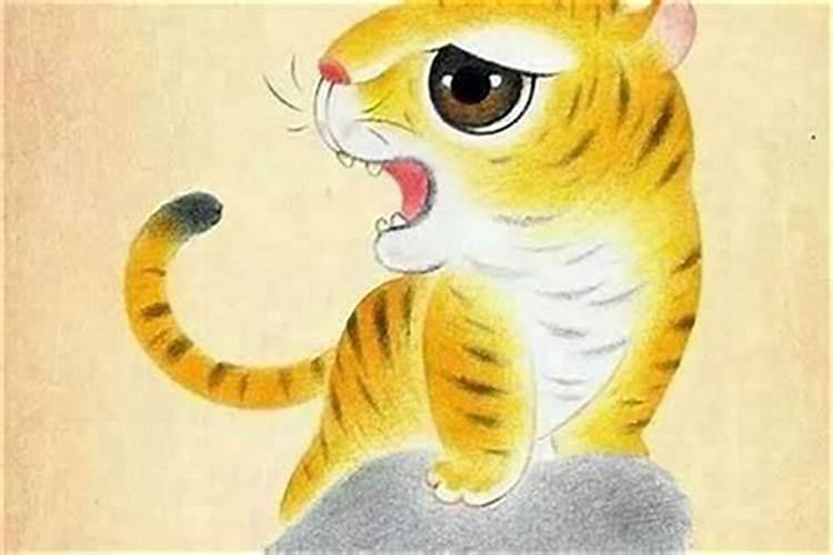 属鼠和虎合婚吗？