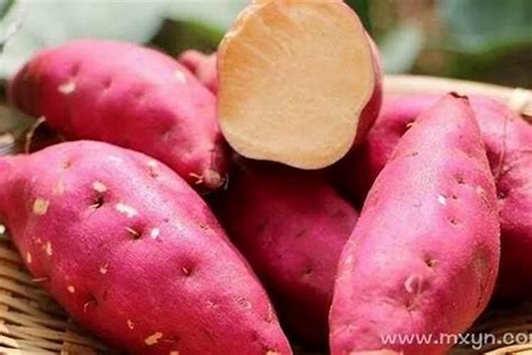 梦见吃红薯好不好吃？