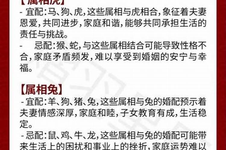 女猴男马合婚好吗？