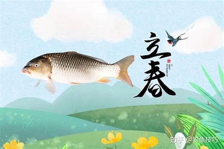 立春野钓注意事项