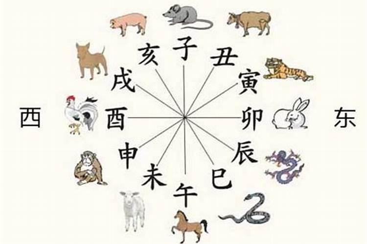 合婚犯六冲是什么意思？