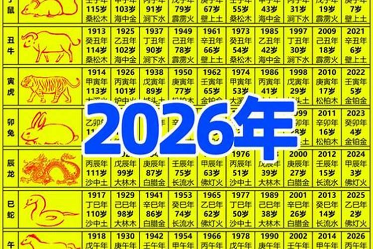 生肖年份表2026