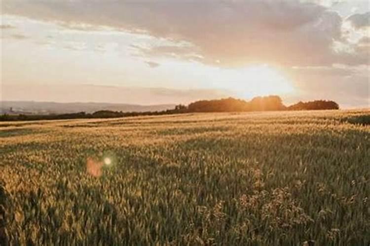 梦见从外地回家过年好不好？