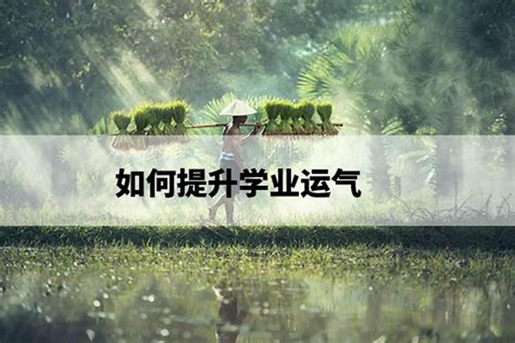 怎样邦孩子提升学业运？