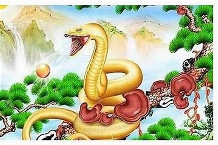 属虎和属蛇的人八字合吗？