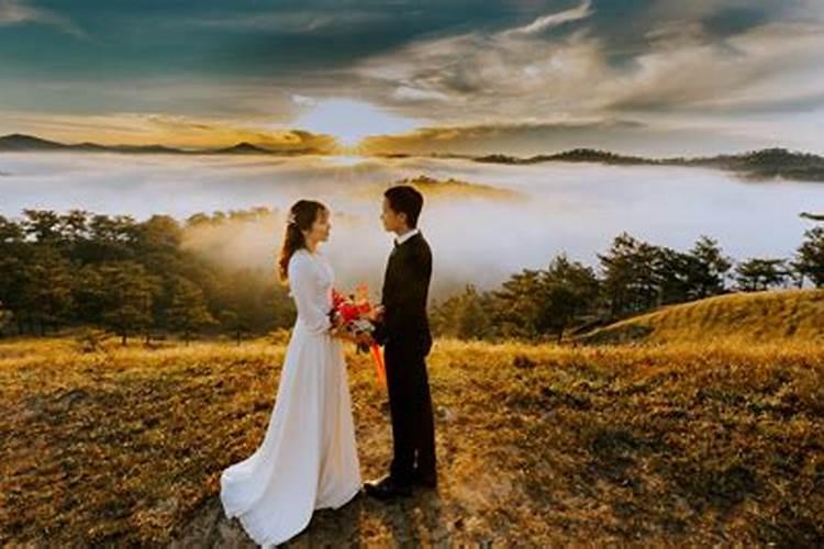 属相婚配狗和羊怎么样？