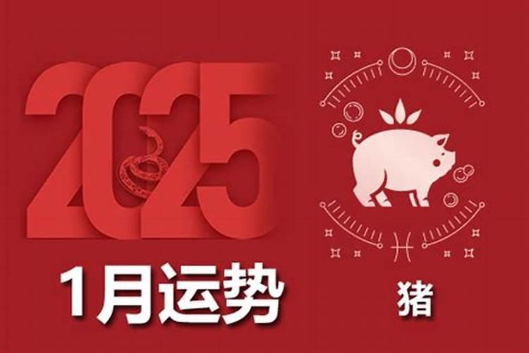 属猪的人2026年运程女