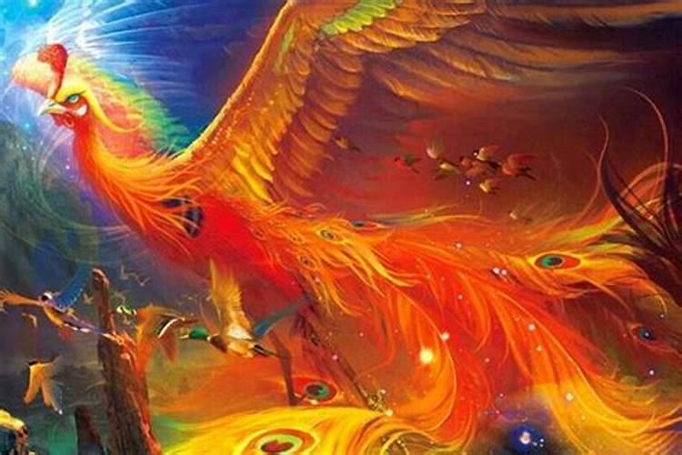 梦见凤凰什么意思？