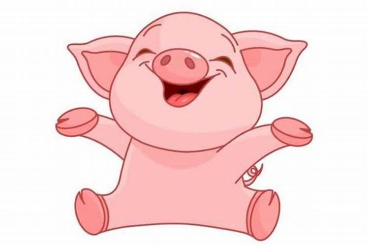 属猪运程2026年运势