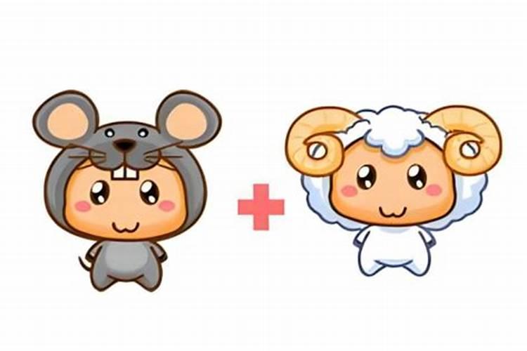 属鼠和属羊的合不合