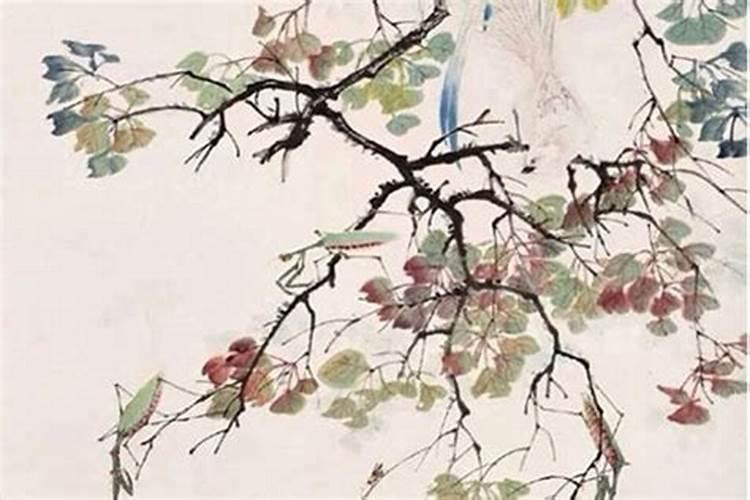 男人命里带情人的八字